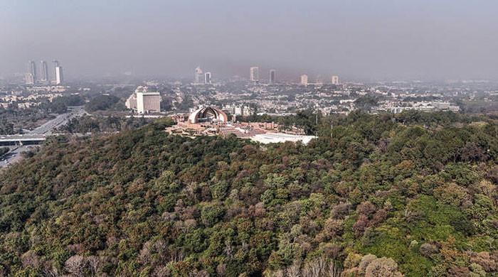 IHC orders halting Islamabad's tree-cutting drive
