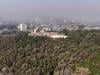 IHC orders halting Islamabad's tree-cutting drive
