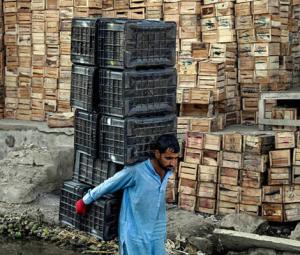 Why cheap money isn't working