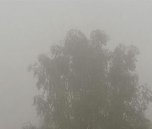 Dense fog over Karachi reduces visibility, disrupts flight operation