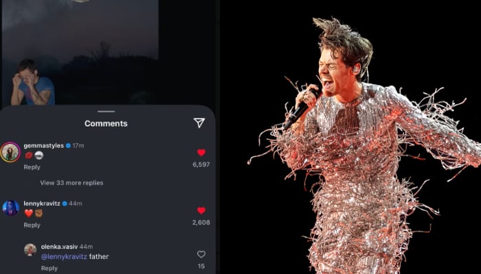 Harry Styles wins over girlfriend Zoë Kravitzs father with new album