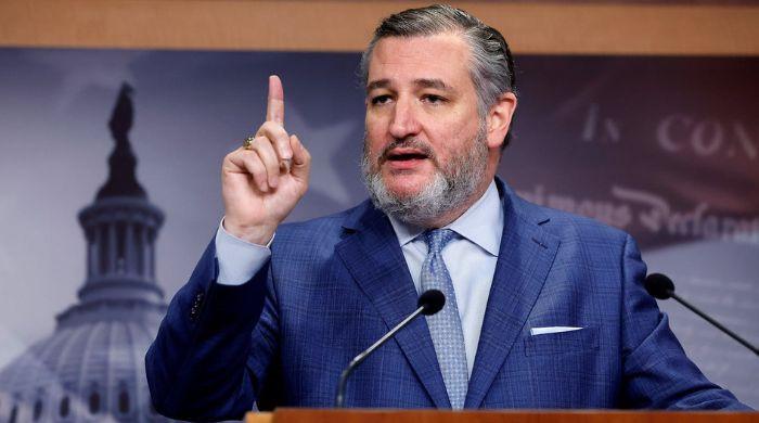 Texas Senator Ted Cruz warns Trump could nuke Denmark