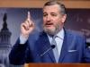 Texas Senator Ted Cruz warns Trump could nuke Denmark