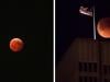 Bloody Red Moon to light up skies: When, where to watch