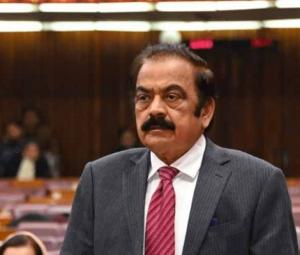 Rana Sanaullah urges PTI to rejoin parliamentary committees, pursue dialogue