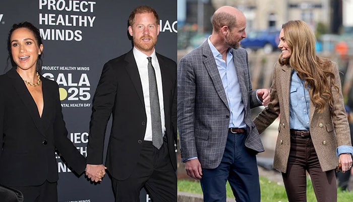 Princess Kate accused of running divorce campaign against Prince Harry, Meghan Markle