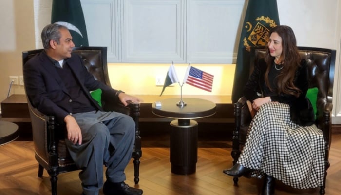Interior Minister Mohsin Naqvi speaks to Acting US Ambassador to Pakistan Natalie Baker during a meeting in Islamabad. — Interior Ministry/File