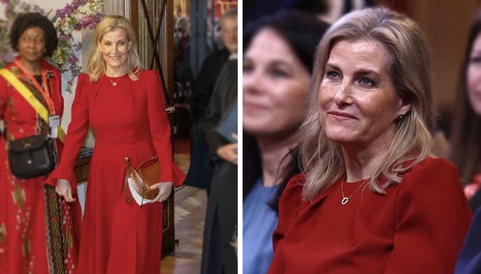 Duchess Sophie undertakes historic event on behalf of King Charles