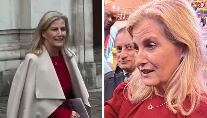 Duchess Sophie sidesteps ‘annoyed’ security to reach royal fan: Watch