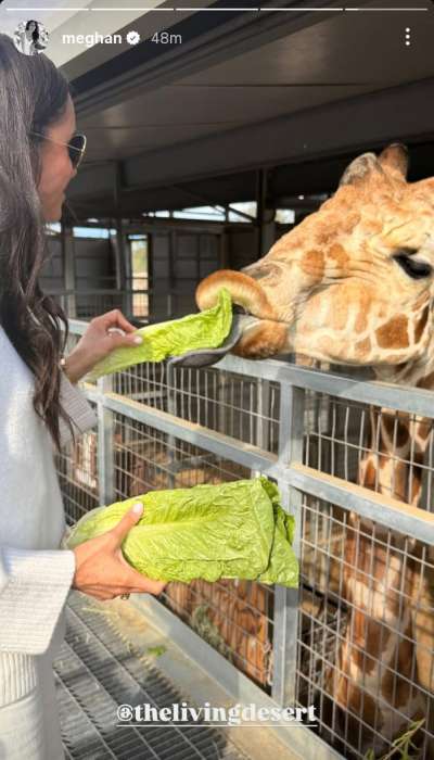 Meghan Markle shares Sunday funday with Prince Harry, Archie, Lilibet