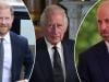 King Charles left with tough decision for sons William and Harry