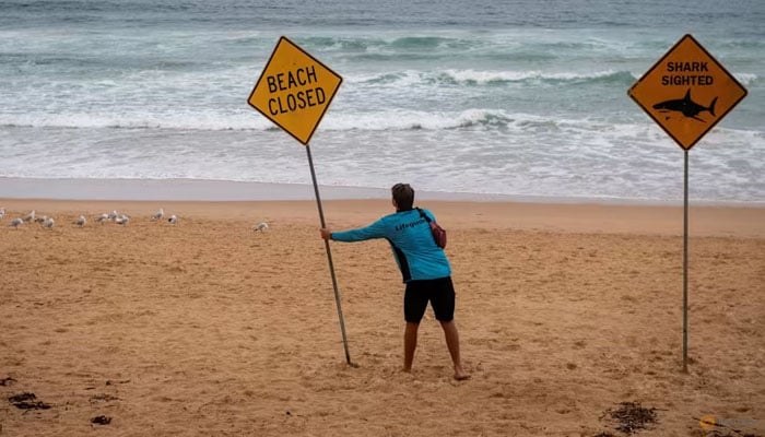 A lifeguards places a sign at Manly Beach, after a man was attacked by a shark in the afternoon, the second attack in Sydneys northern beaches on the day and the third attack in 24 hours in Australia on Jan 19, 2026. — Reuters
