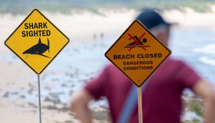 Australia shuts dozens of beaches after four shark attacks in two days