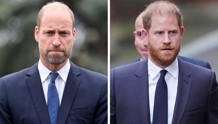 Prince William ‘won’t hold back wrath’ as Prince Harry ignites new war