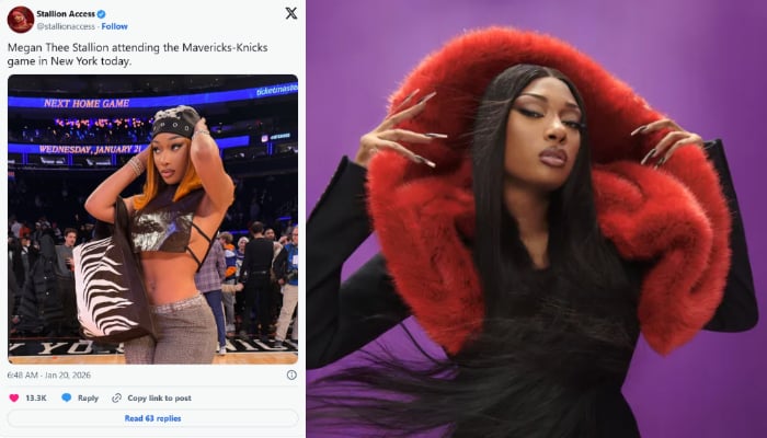 Megan Thee Stallion looks confident and stylish, making everyone notice her glamourous presence