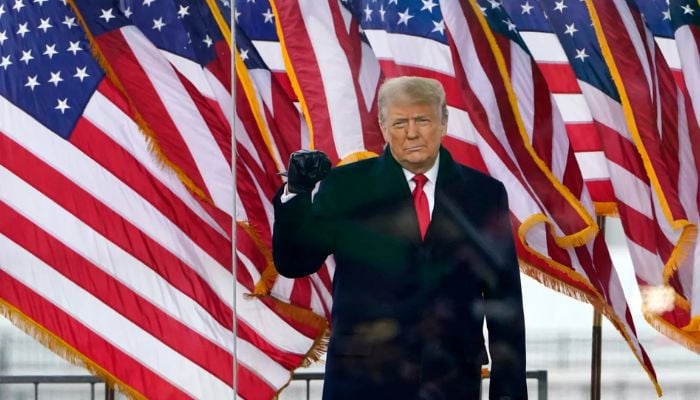 Is it time to remove Trump? Calls grow via 25th Amendment over Greenland crisis