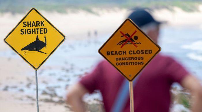 Australia shuts dozens of beaches after four shark attacks in two days