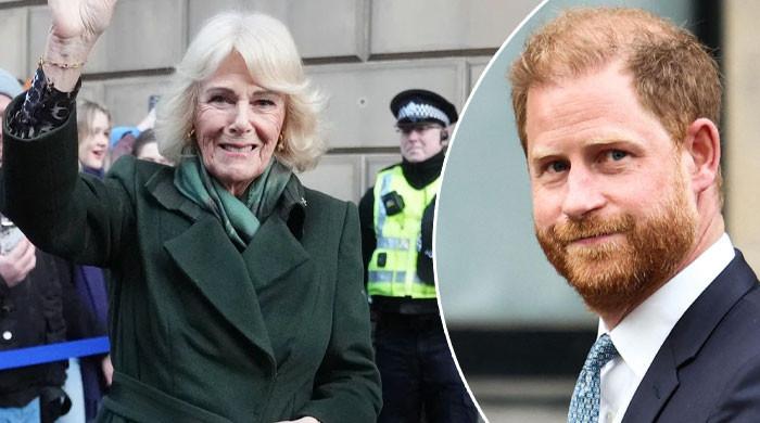 Queen Camilla delivers important message as Harry wraps first day in court