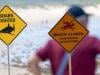Australia shuts dozens of beaches after four shark attacks in two days