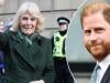 Queen Camilla delivers important message as Harry wraps first day in court