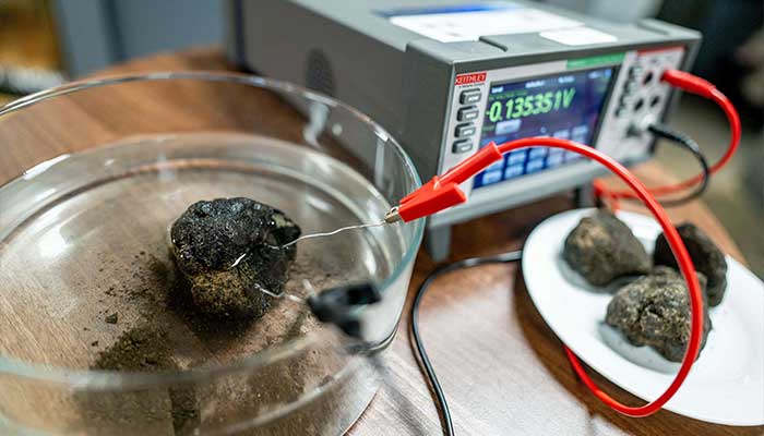 This undated handout picture released by the Scottish Association for Marine Science (SAMS) on January 20, 2026, shows a polymetallic nodule at Scotland House London in London. — AFP