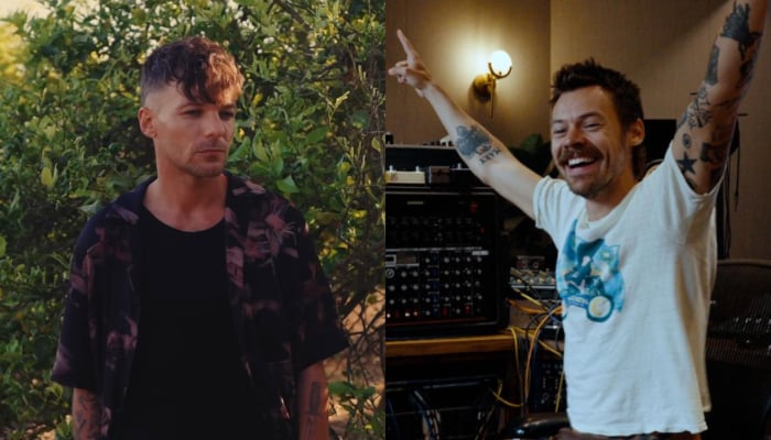 One Direction fans worried about chart battle between Harry Styles, Louis Tomlinson