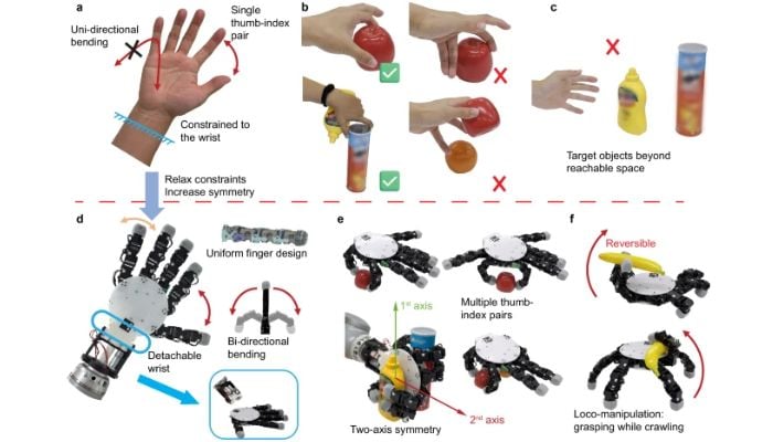 Concept and design of symmetric robotic hand