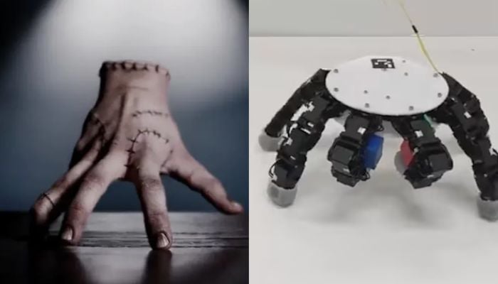 ‘Thing’ from ‘Wednesday’ comes to life as scientists build crawling robotic hand