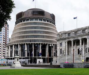 New Zealand to vote on November 7