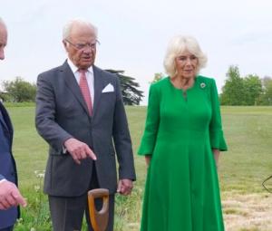 Palace issues sad statement as King mourns death of his sister