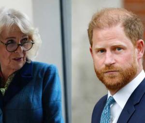 Buckingham Palace honours Queen Camilla after Harry's tearful admission