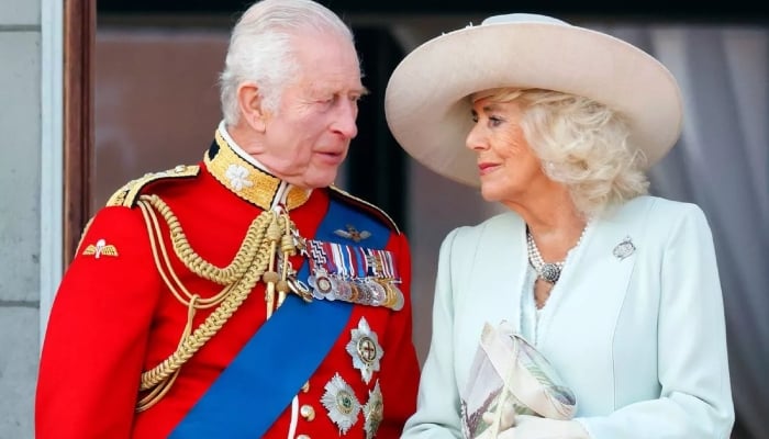 Queen Camilla sends message to King Charles as crucial chapter begins