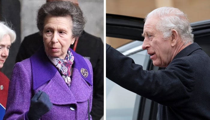Princess Anne steps in for King Charles as monarch holds urgent meeting