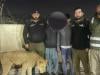 Pet lioness attacks eight-year-old girl in Lahore's Bhekewal