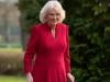 Queen Camilla marks special moment without King Charles: watch