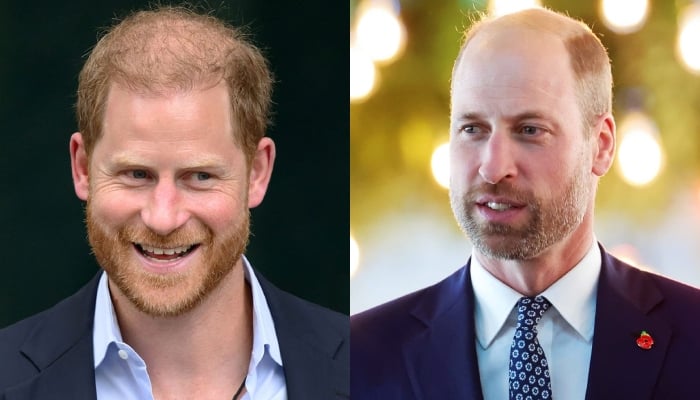 Prince Harry creates opportunity to make peace with William: Will it work?