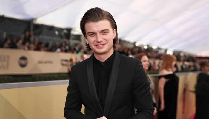 ‘Stranger Things’ star Joe Keery left shocked after surprise chart domination