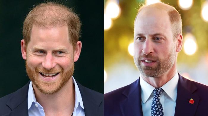 Prince Harry creates opportunity to make peace with William: 'Will it work?