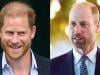 Prince Harry creates opportunity to make peace with William: 'Will it work?