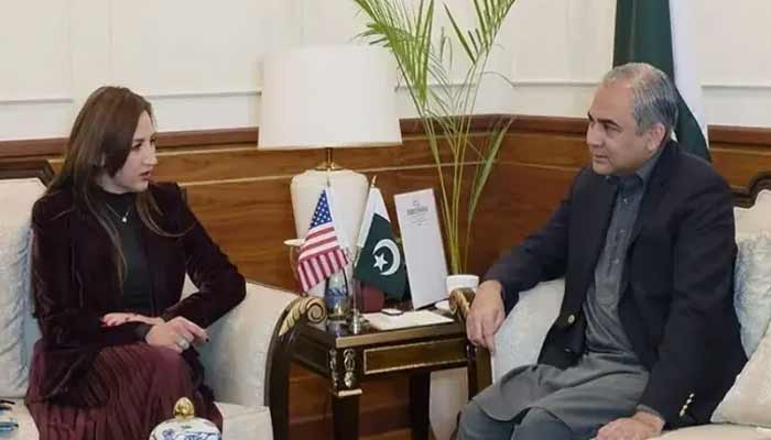 Pakistans Interior Minister Mohsin Naqvi meets US Ambassador to Pakistan, Natalie Baker on January 24, 2026. — APP
