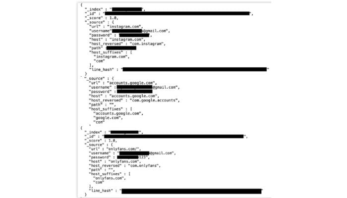 Image shows screenshot of accounts credentials including gmail and instagram