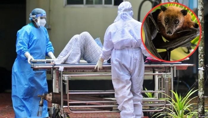 Thailand on high alert as deadly Nipah outbreak strikes India
