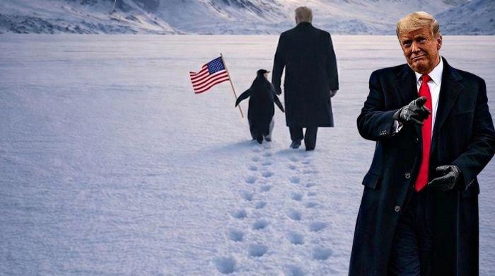 Why did White House post Greenland Penguin meme? Here's what you should know
