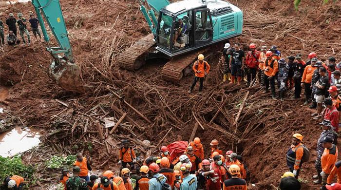 Indonesia landslide kills eight, more than 80 missing