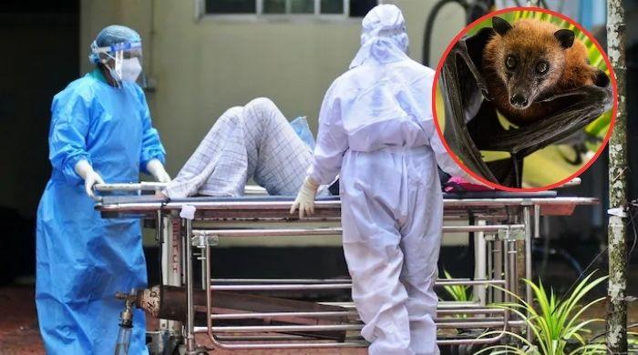 Thailand on high alert as deadly Nipah outbreak strikes India