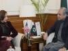 Pakistan, US to launch joint operations against ‘fake' visa networks