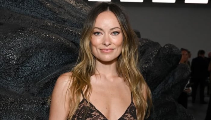 Olivia Wilde gets standing ovation for The Invite at Sundance Film Festival