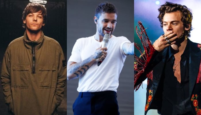 Liam Paynes sister makes fans emotional by commenting on Harry, Louis new work