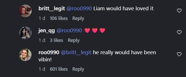 Liam Paynes presence felt as his sister reacts to Harry, Louis new music