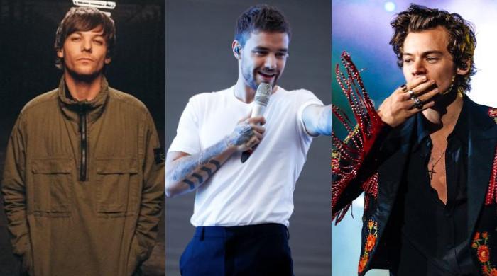 Liam Payne's presence felt as his sister reacts to Harry, Louis' new music